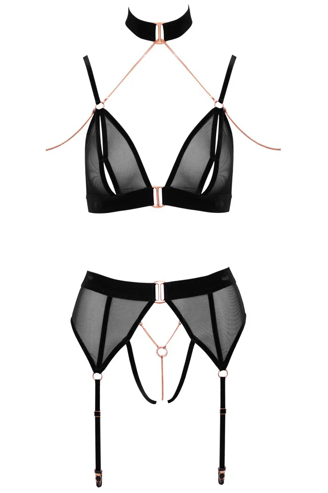 Abierta Fina Bra and Suspender Set - Image 8