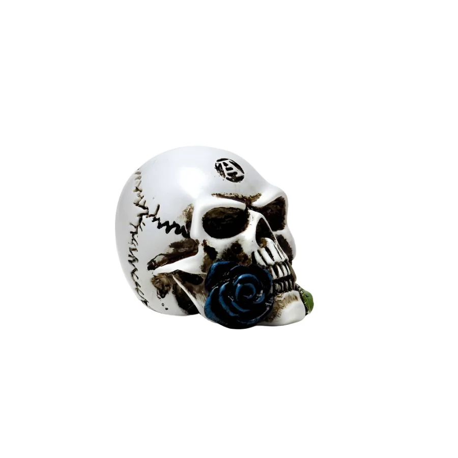 Alchemy Alchemist Skull Miniature - Image 4