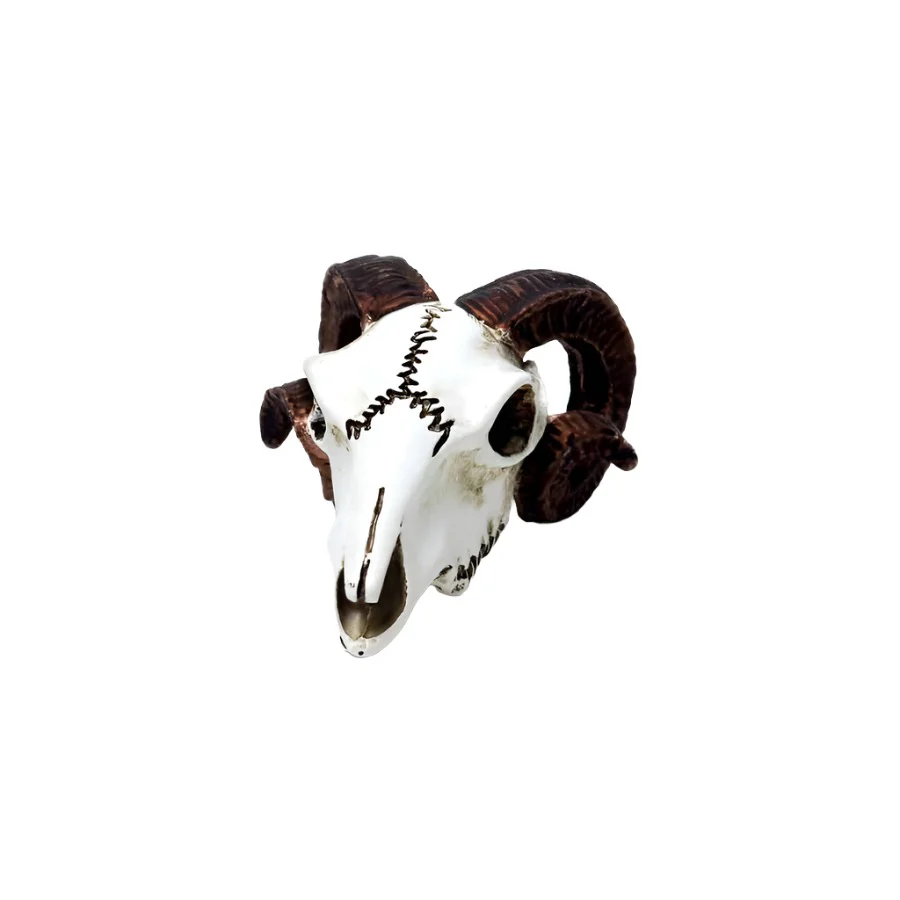 Alchemy Rams Skull Miniture - Image 2