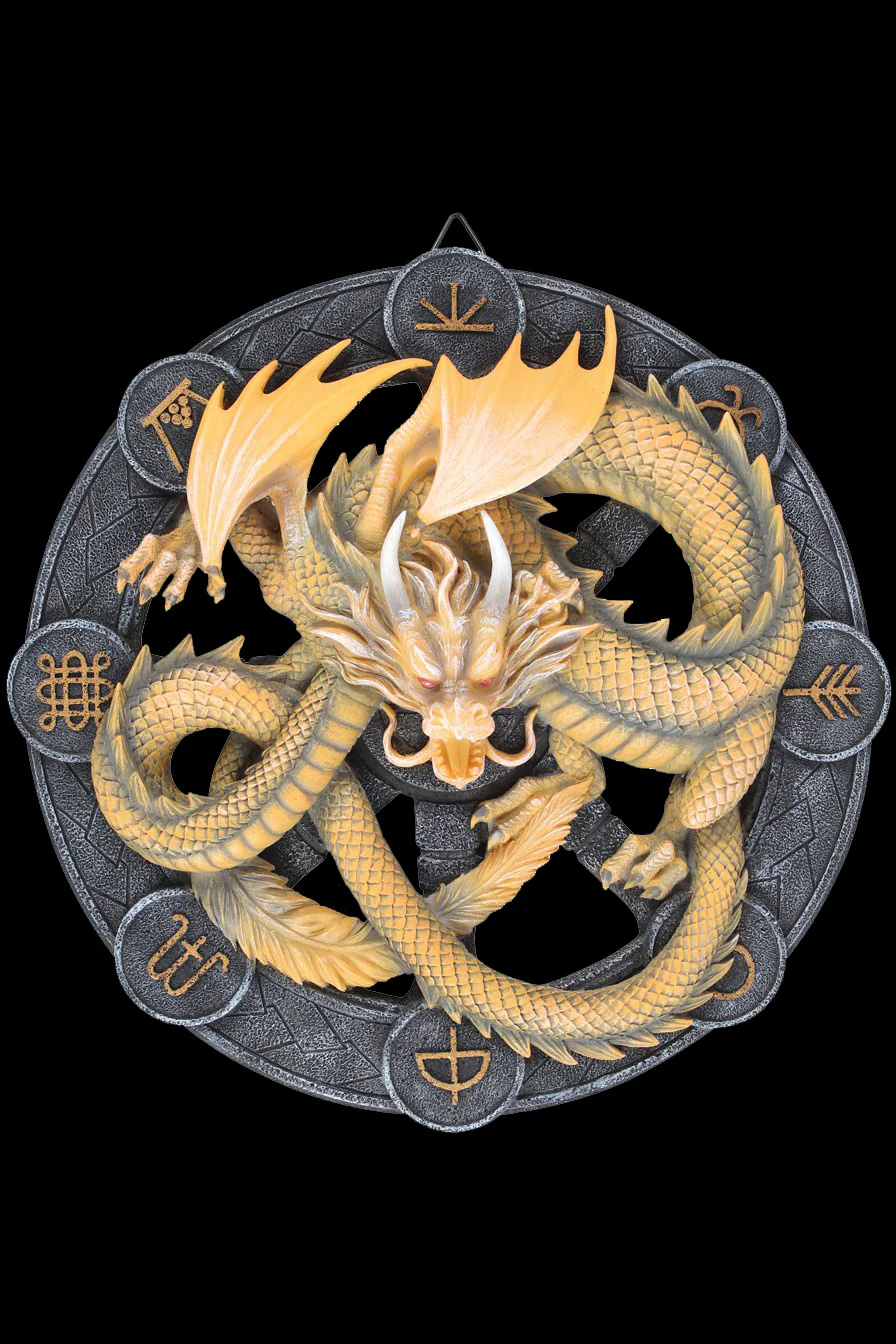 Anne Stokes Imbolc Dragon Wall Plaque - Image 4