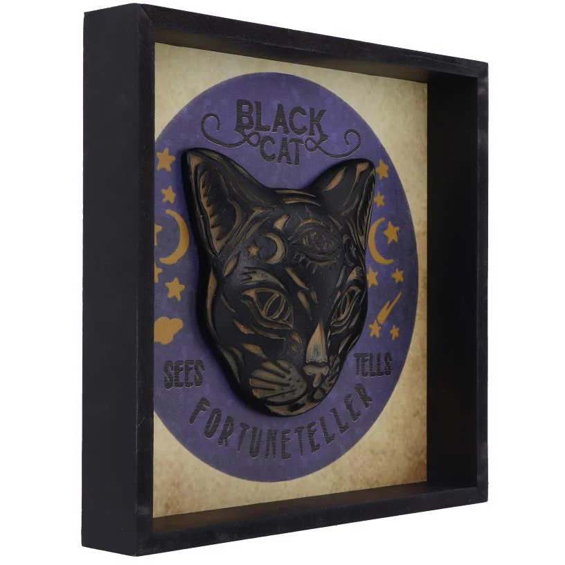 Black Cat Fortune Teller - Image 5
