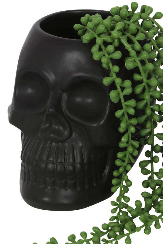 Black Skull Plant Pot