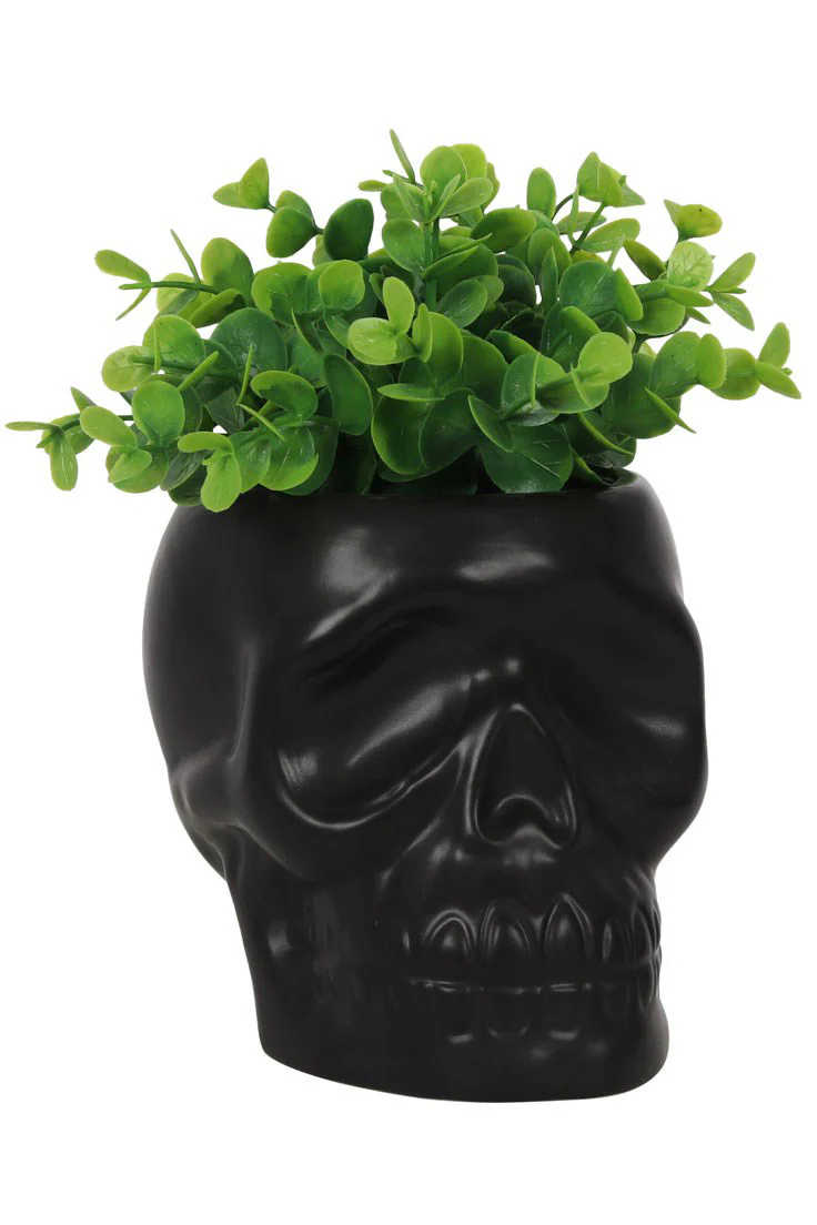 Black Skull Plant Pot