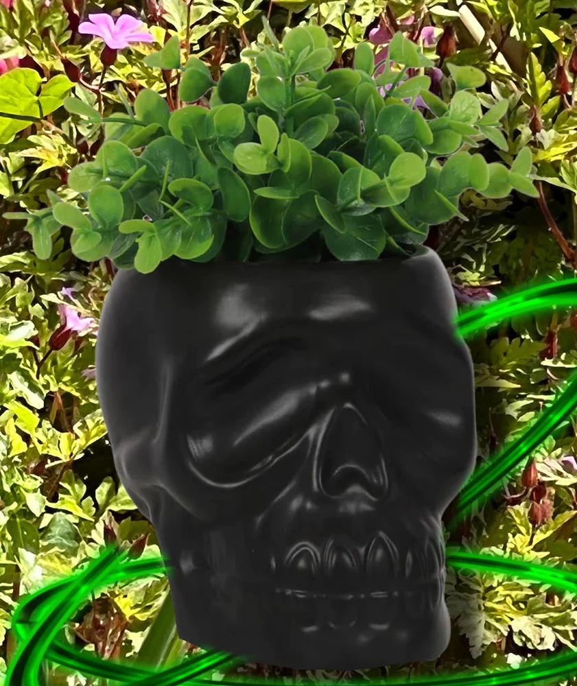 Black Skull Plant Pot - Image 2