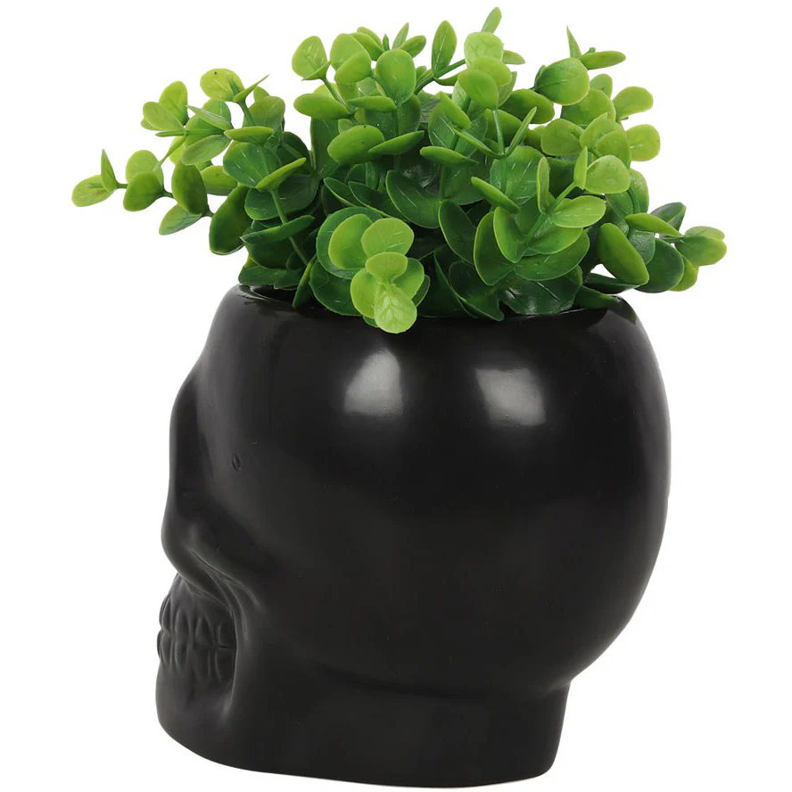 Black Skull Plant Pot - Image 3
