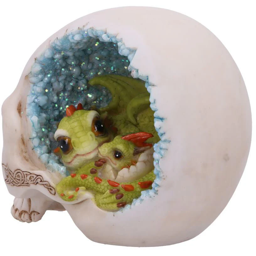 Celtic Cave Dragon Skull - Image 2