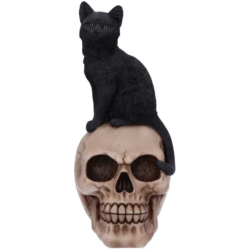 Familiar Fate Witches Cat - Image 2