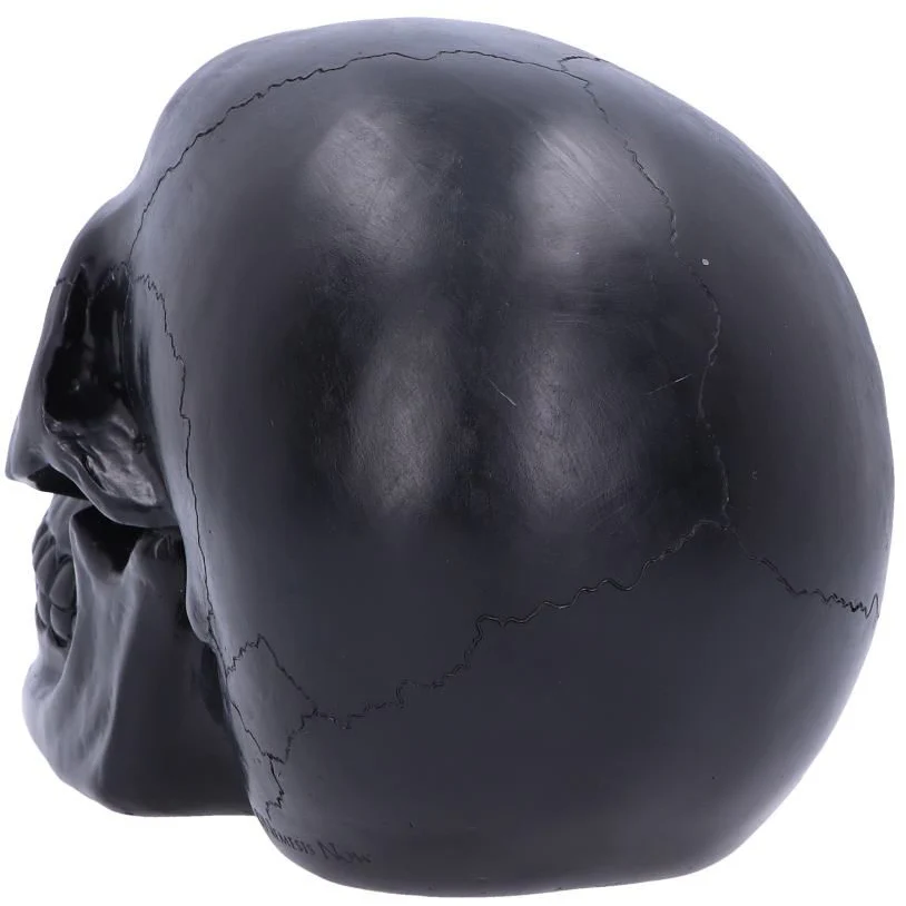 Geode Skull Red - Image 7
