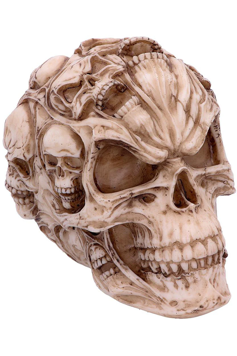 James Ryman Skull of Skulls