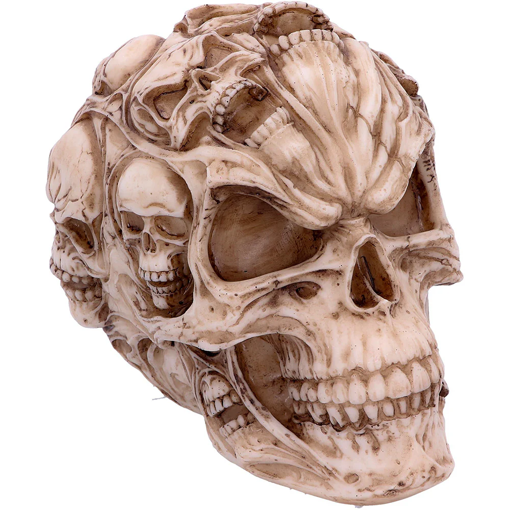 James Ryman Skull of Skulls - Image 6