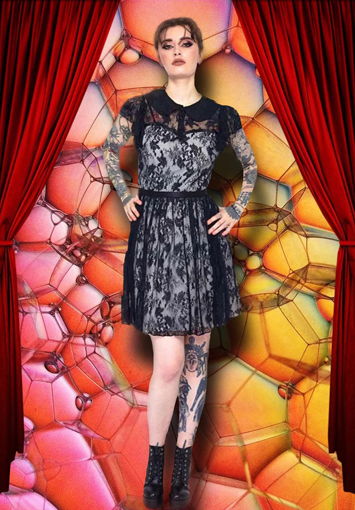 Jawbreaker Lace Overlay Collar Dress - Image 3