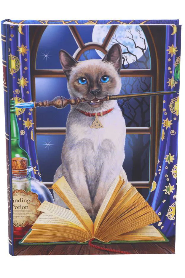 Lisa Parker Hocus Pocus Journal