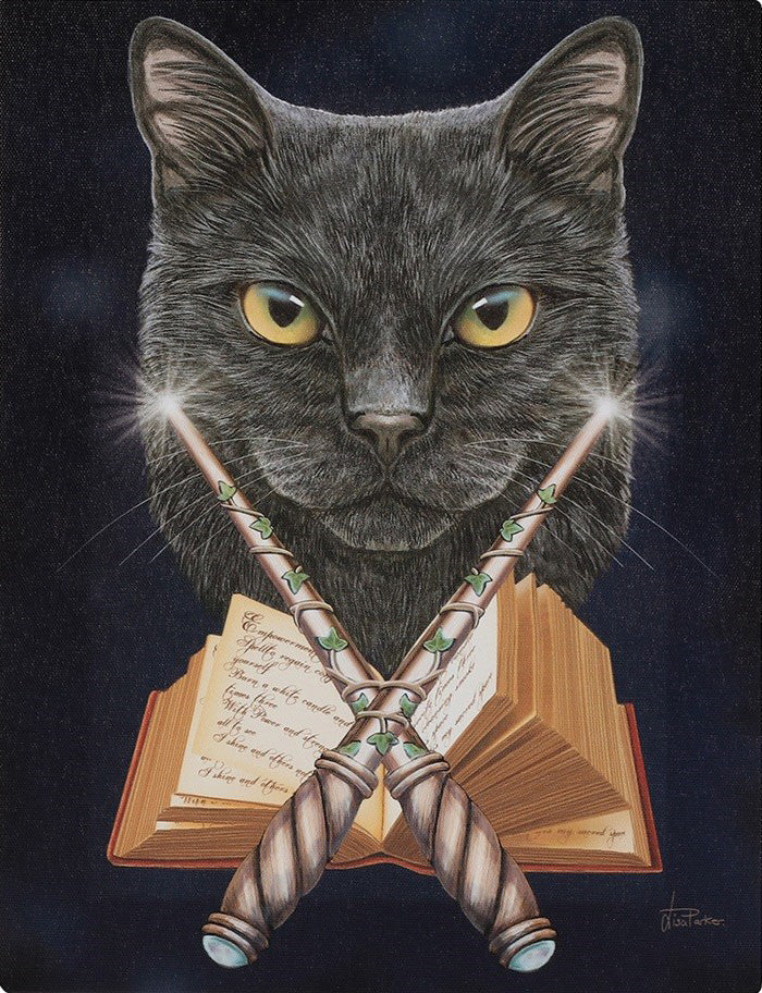 Lisa Parker Magick Maker Picture - Image 3