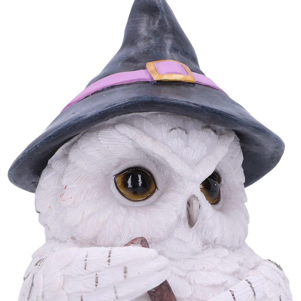 Owl Potion - Image 6