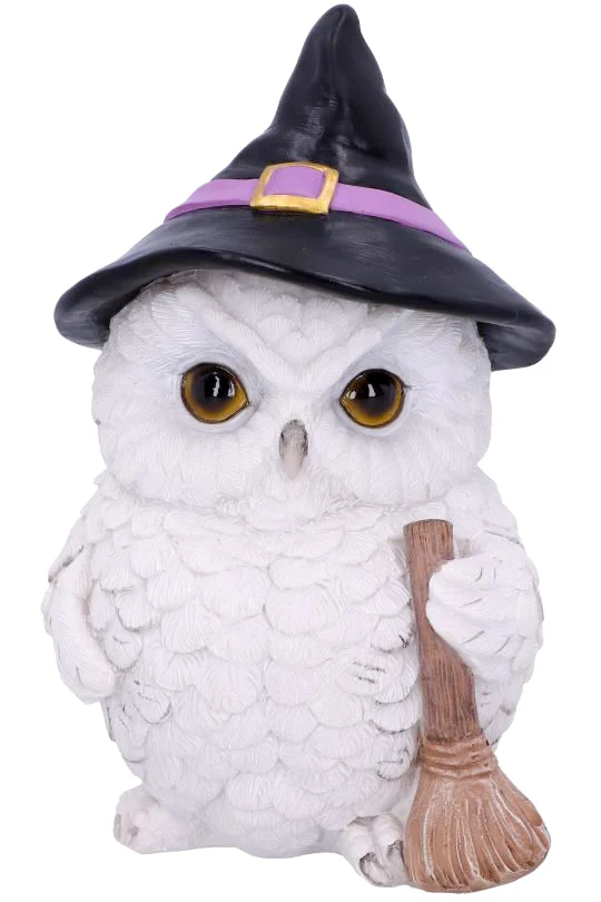 Snowy Magic Witch Owl