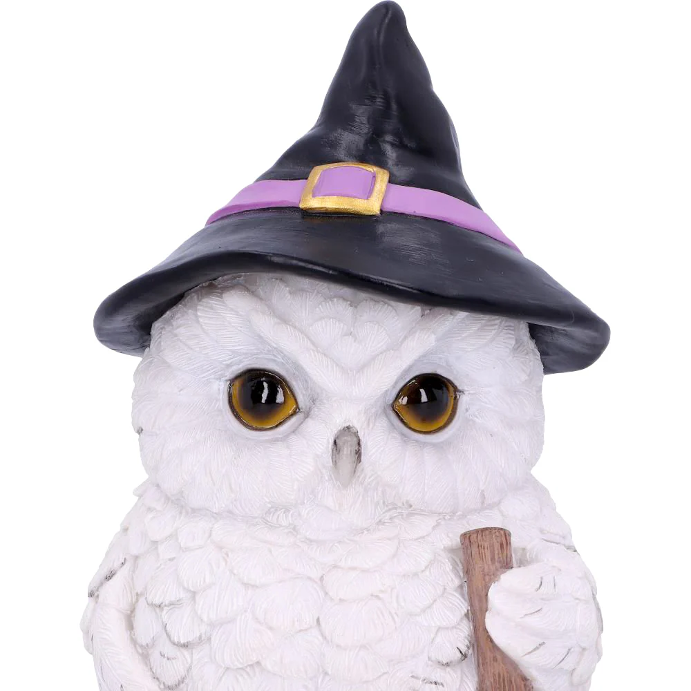 Snowy Magic Witch Owl - Image 5