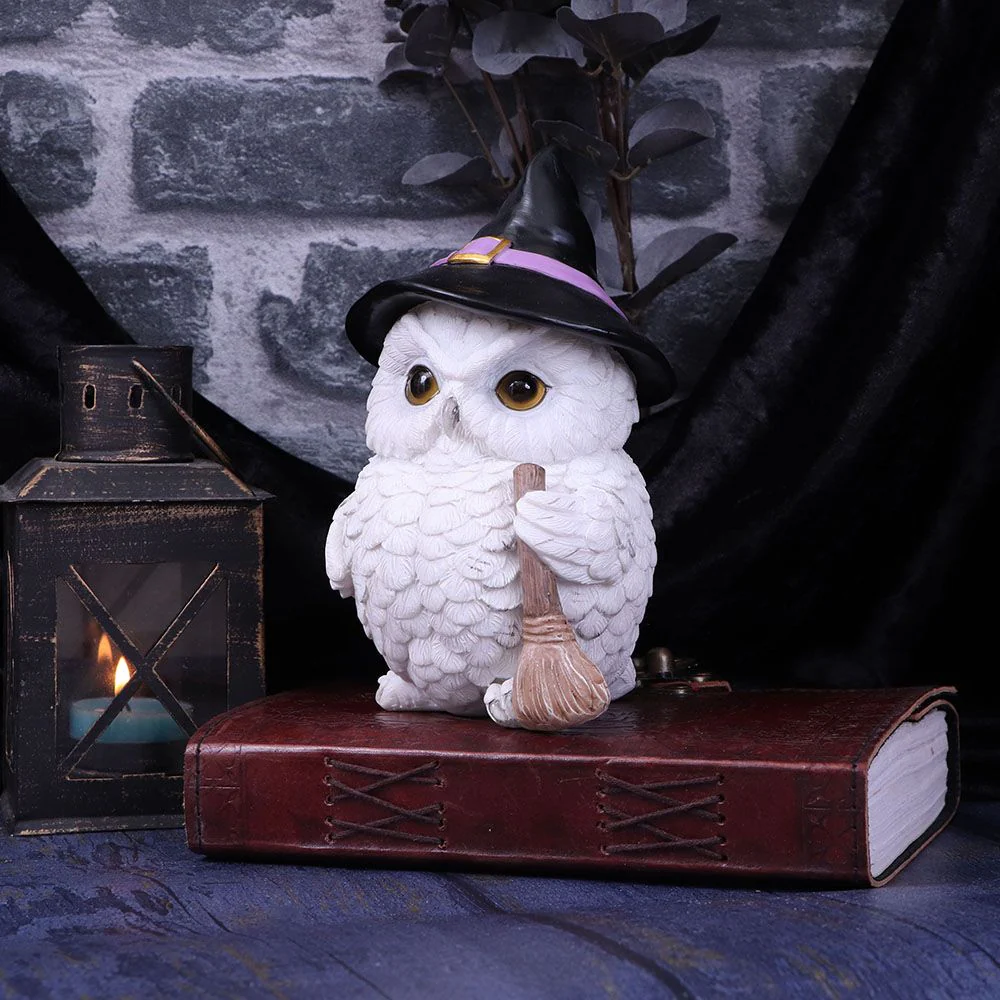 Snowy Magic Witch Owl - Image 7