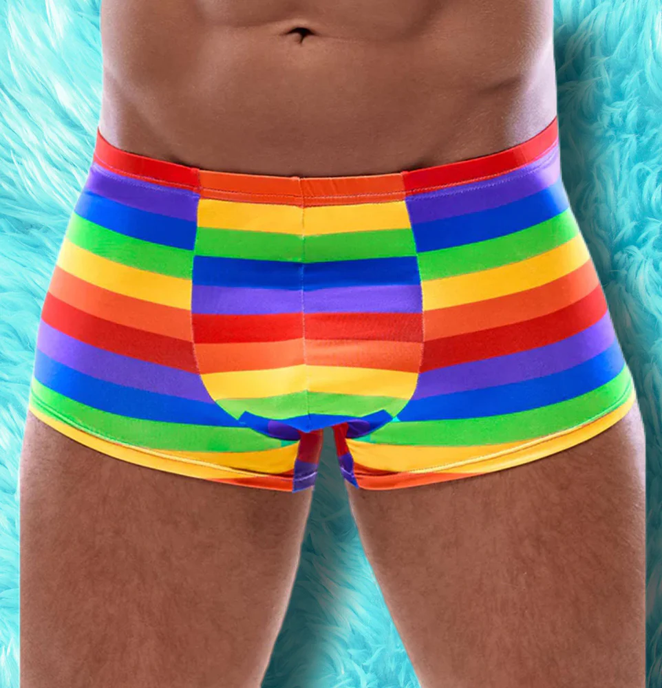 Svenjoyment Rainbow Boxer Briefs - Image 2