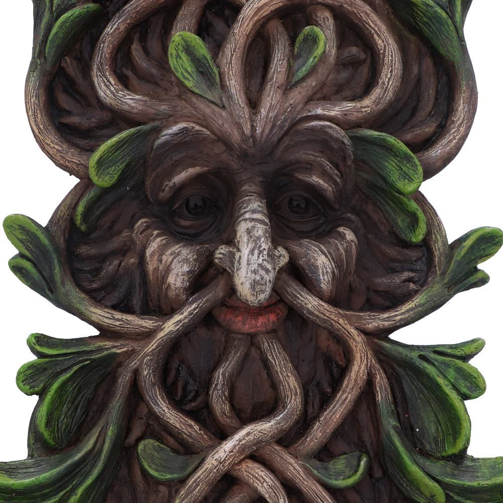 Tawnya Wall Mounted Tree Spirit - Image 6