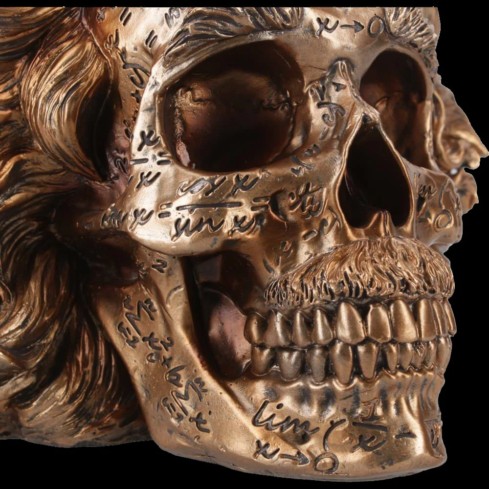The Theory of Relativity Einstein Skull - Image 3