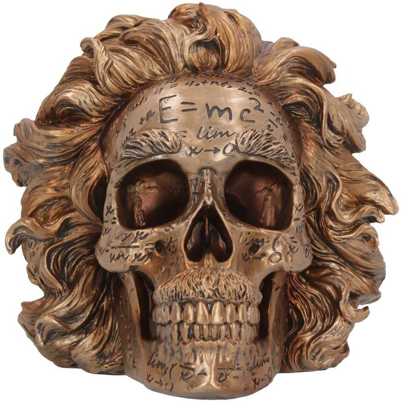 The Theory of Relativity Einstein Skull - Image 5