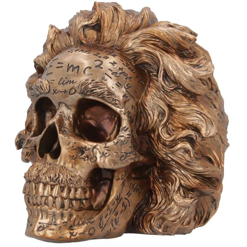 The Theory of Relativity Einstein Skull - Image 7