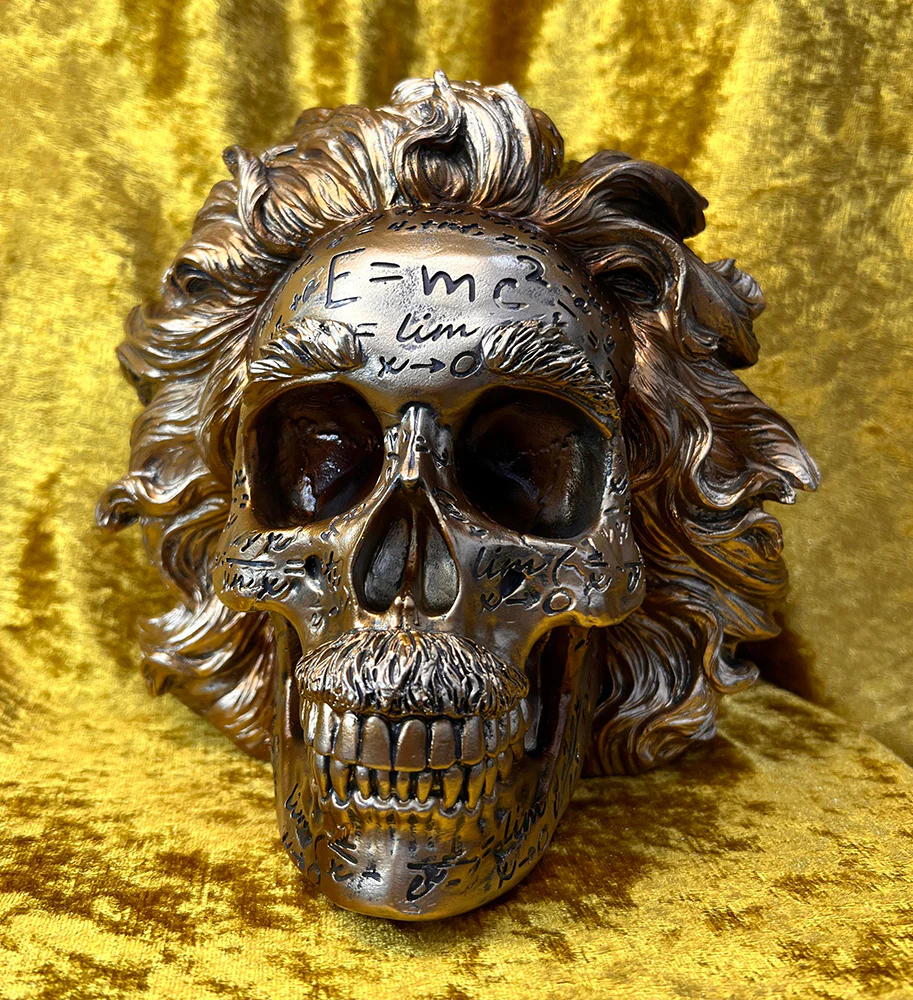 The Theory of Relativity Einstein Skull - Image 9