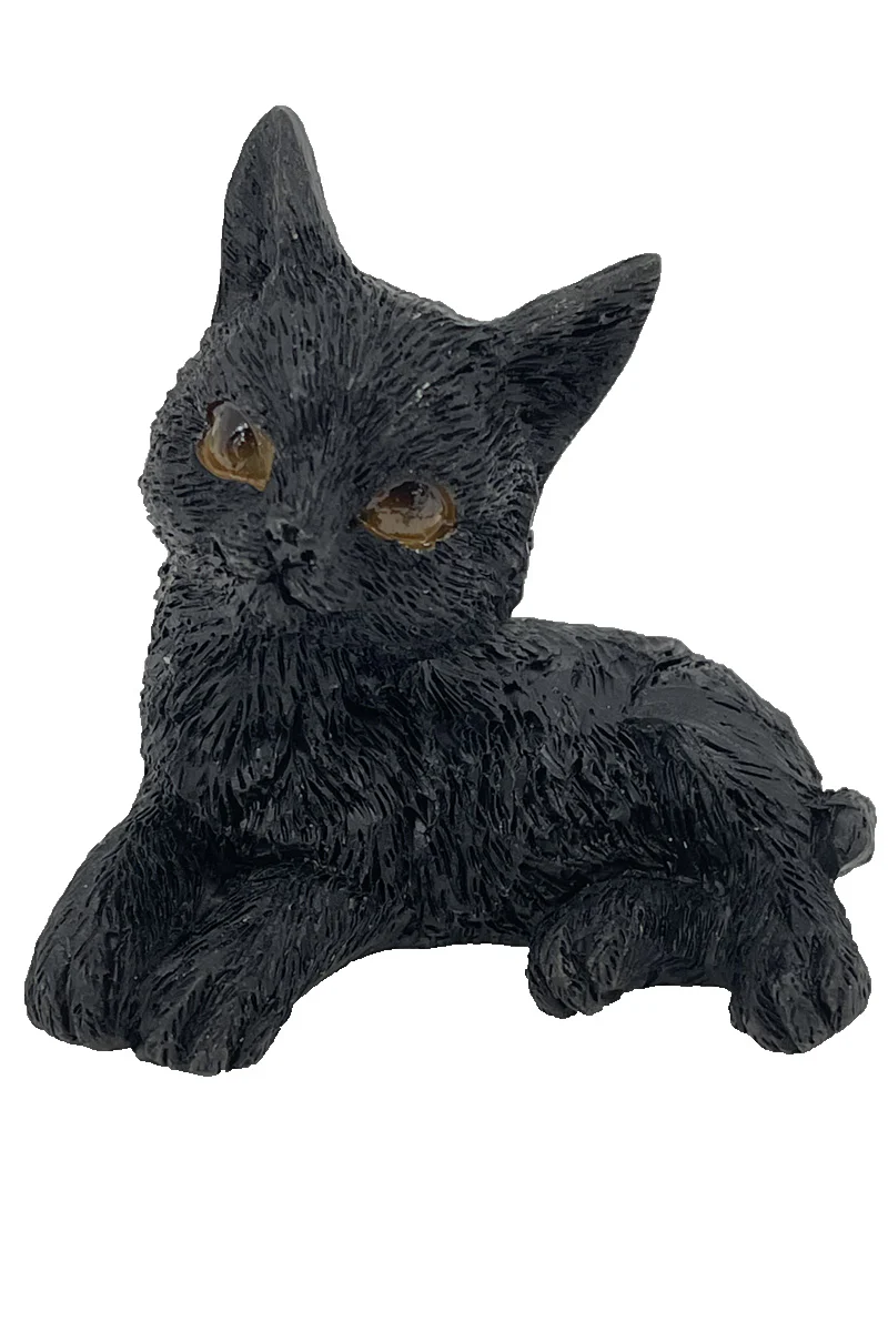 The Witches Litter - Cat 1