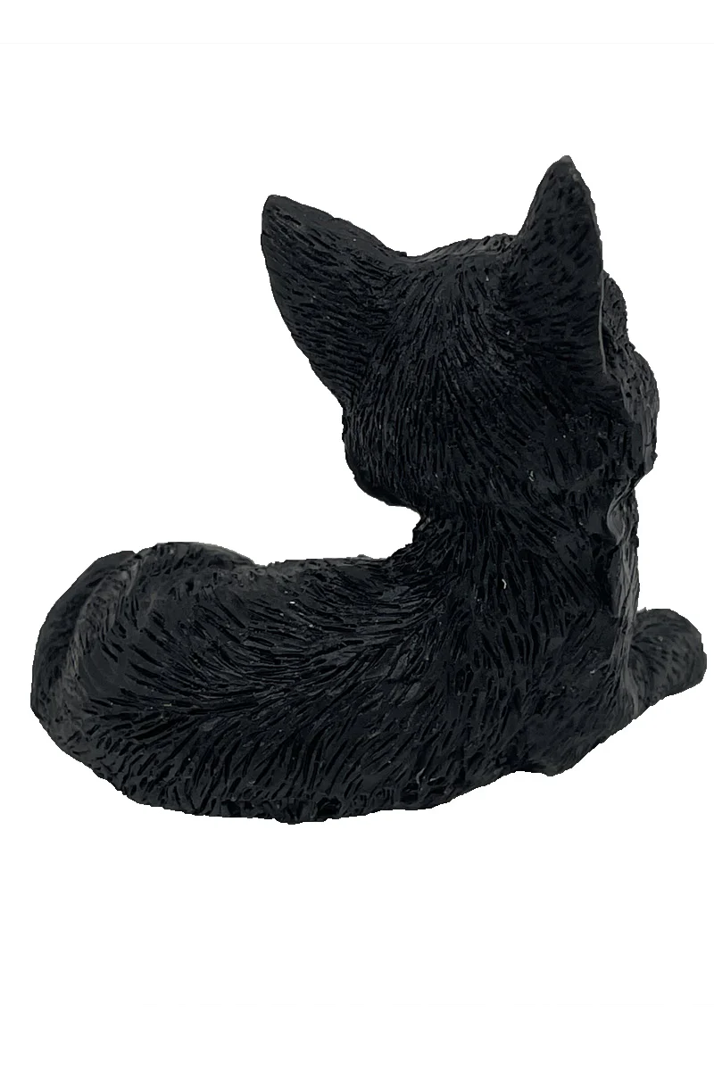 The Witches Litter - Cat 1 - Image 2