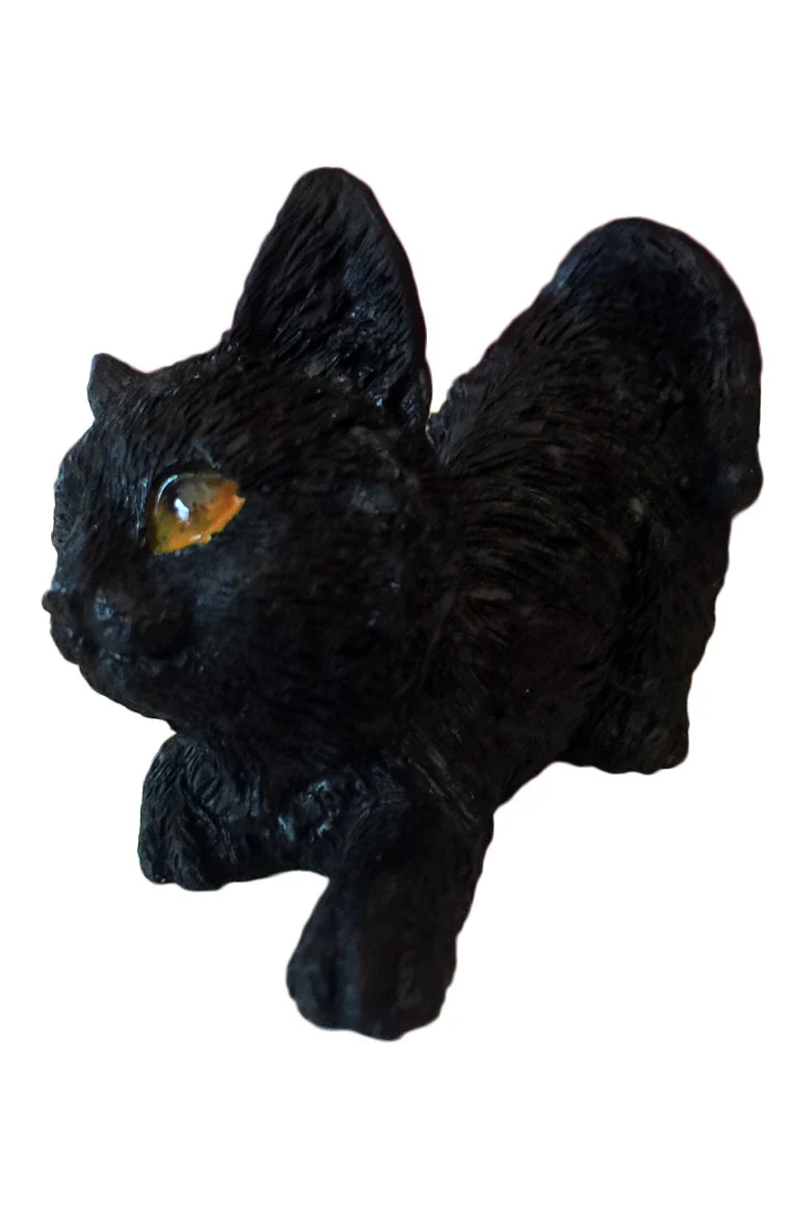 The Witches Litter - Cat 3