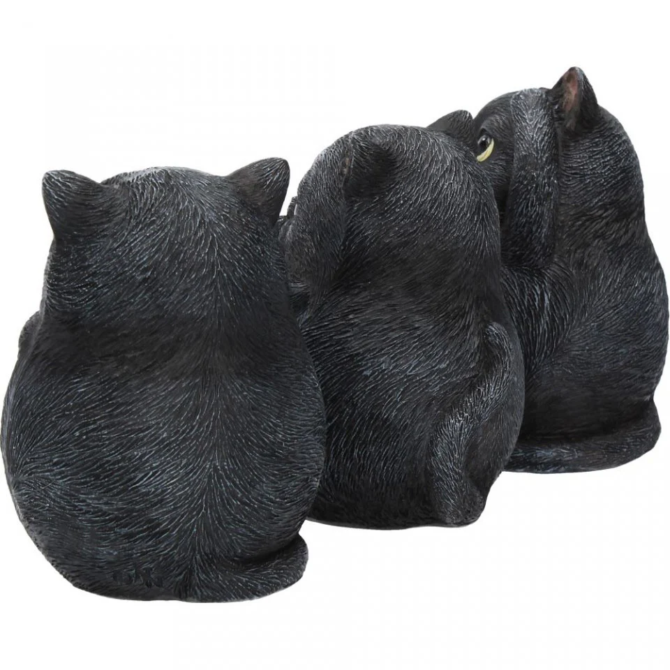 Three Wise Fat Cats - Image 5