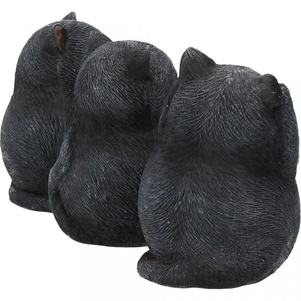 Three Wise Fat Cats - Image 7