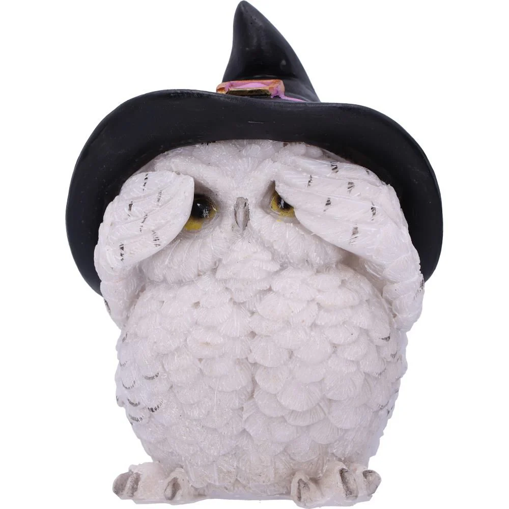 Three Wise Feathered Familiars Owls - Image 5