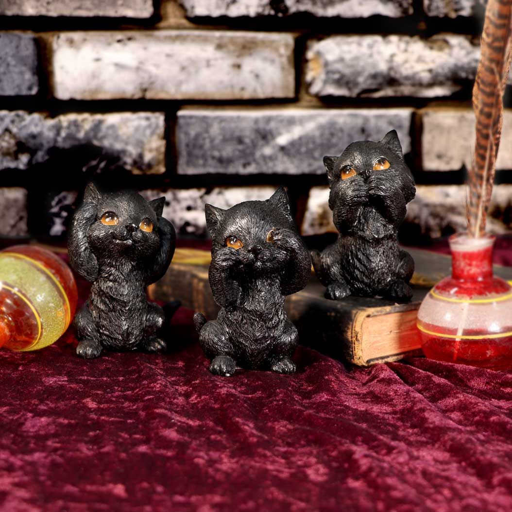 Three Wise Kitties - Image 9