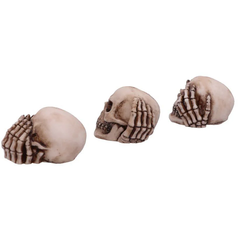 Three Wise Skulls - Image 5